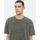 Textil Homem T-shirts e Pólos Dickies NEWINGTON TEE DK0A4YRO-H66 DBLE DYE/ACID WASH CLOUD 