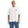 Textil Homem T-shirts e Pólos Levi's A1005 0001 - BOX SKATE TEE-WHITE CORE Branco