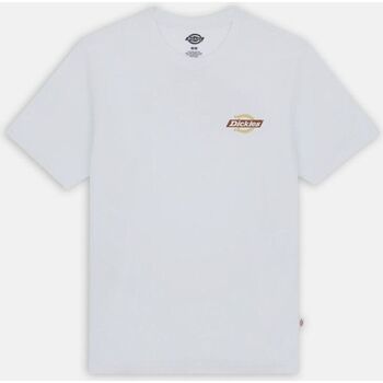Textil Homem T-shirts e Pólos Dickies RUSTON TEE SS DK0A4XDC-H80 WHT/PALE GREEN Branco
