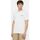 Textil Homem T-shirts e Pólos Dickies RUSTON TEE SS DK0A4XDC-H80 WHT/PALE GREEN Branco