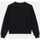 Textil Mulher Sweats Dickies W MILLERSBURG SWEATSHIRT DK0A4YQD-BLK BLACK Preto