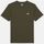 Textil Homem T-shirts e Pólos Dickies SUMMERDALE SS - DK0A4YA-MGR MILITARY GREEN Cinza