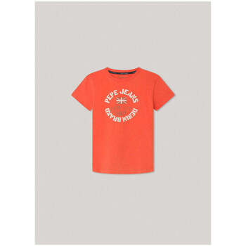 Textil Rapaz T-shirts e Pólos Pepe rosso JEANS PB503845-165-10-21 Laranja