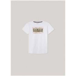 Textil Rapaz T-shirts e Pólos Pepe jeans PB503846-800-1-21 Branco