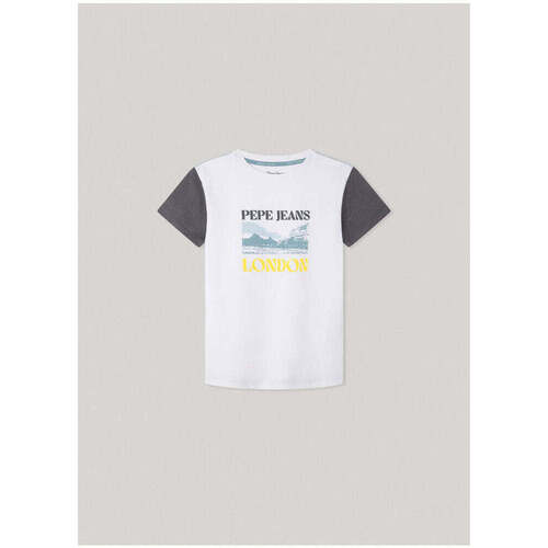 Textil Rapaz T-shirts e Pólos Pepe JEANS Kids PB503850-800-1-21 Branco