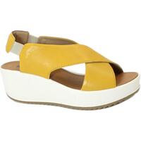 Sapatos Mulher Sandálias IgI&CO IGI-E24-5668822-GI Amarelo