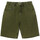 Textil Homem Shorts / Bermudas Huf Short cromer dried Verde