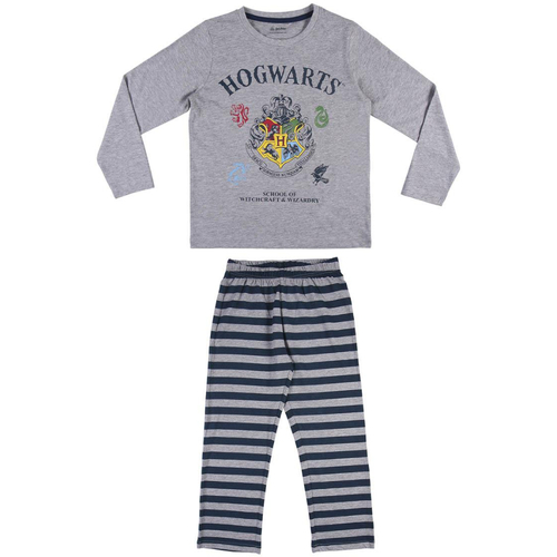 Textil Rapaz Pijamas / Camisas de dormir Harry Potter 2200007699 Cinza