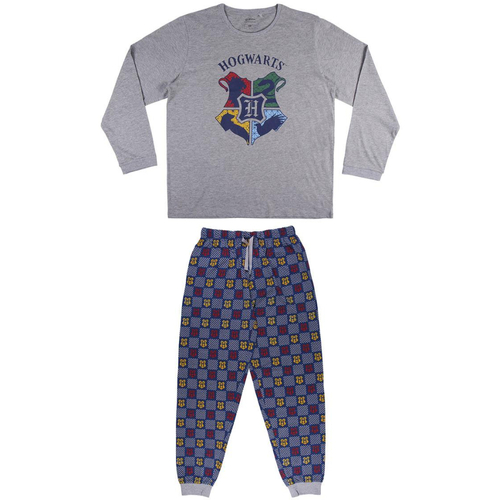 Textil Homem Pijamas / Camisas de dormir Harry Potter 2200007834 Cinza