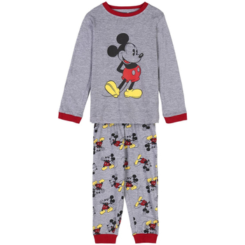 Textil Rapaz Pijamas / Camisas de dormir Disney 2900000188 Cinza