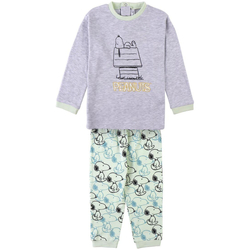 Textil Pijamas / Camisas de dormir Dessins Animés 2900000087 Cinza