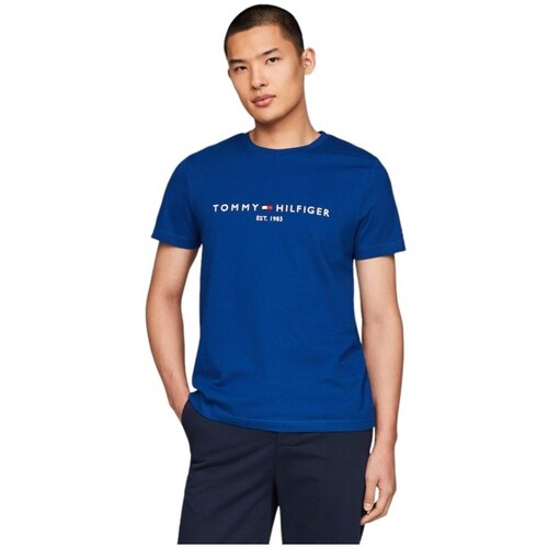 Textil Homem T-Shirt mangas curtas Tommy Hilfiger MW0MW11797C5J Marinho