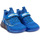 Sapatos Criança Sapatilhas Bull Boys DNAL3378-AEH3 Azul