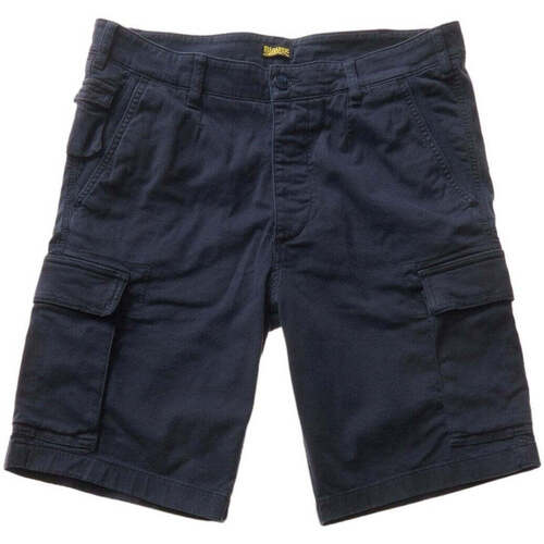 Textil Homem Shorts / Bermudas Blauer  Azul