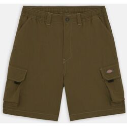 Textil Homem Shorts / Bermudas Dickies JACKSON CARGO SHORT DK0A4YAC-MGR MILITARY GREEN Cinza