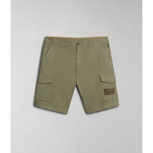 Textil Homem Shorts / Bermudas Napapijri N-HORTON NP0A4HOS-GAE GREEN LICHEN Verde