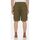 Textil Homem Shorts / Bermudas Dickies JACKSON CARGO SHORT DK0A4YAC-MGR MILITARY GREEN Cinza