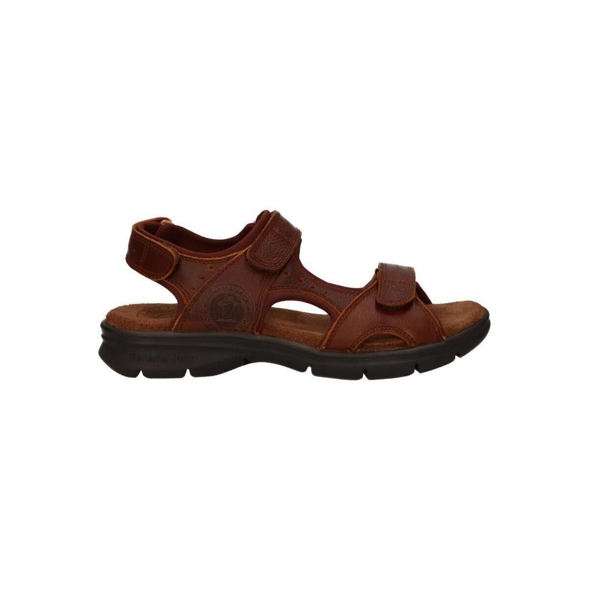 Sapatos Homem Sandálias Panama Jack SALTON BASICS C4 SALTON BASICS C4 