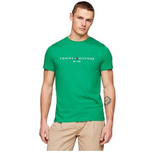 Textil Homem T-Shirt mangas curtas Tommy Hilfiger MW0MW11797L4B Verde