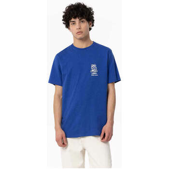 Textil Rapaz Calçado de homem a menos de 60 Tiffosi 10054267-699-3-25 Azul
