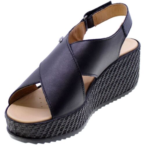 Enval 345431 Preto