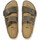 Sapatos Sandálias Birkenstock Arizona leoi Verde