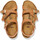 Sapatos Criança Sandálias Birkenstock Kumba kids bfbc Castanho