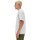 Textil Homem T-shirts e Pólos New Balance 34269 GRIS