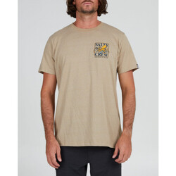 Textil Homem T-shirts e Pólos Salty Crew Ink slinger standard s/s tee Bege