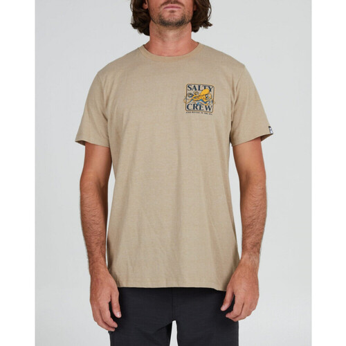 Textil Homem T-shirts plain e Pólos Salty Crew Ink slinger standard s/s tee Bege