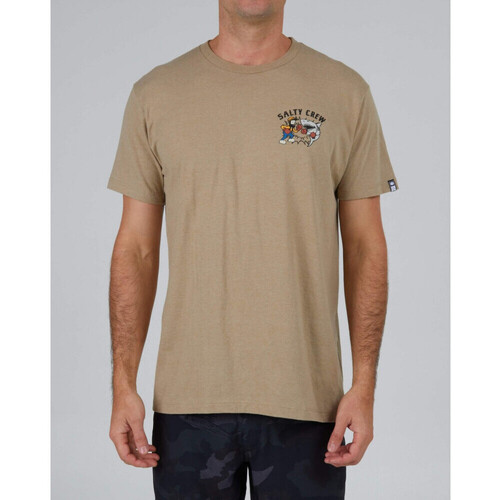 Textil Homem T-shirts plain e Pólos Salty Crew Fish fight standard s/s tee Bege