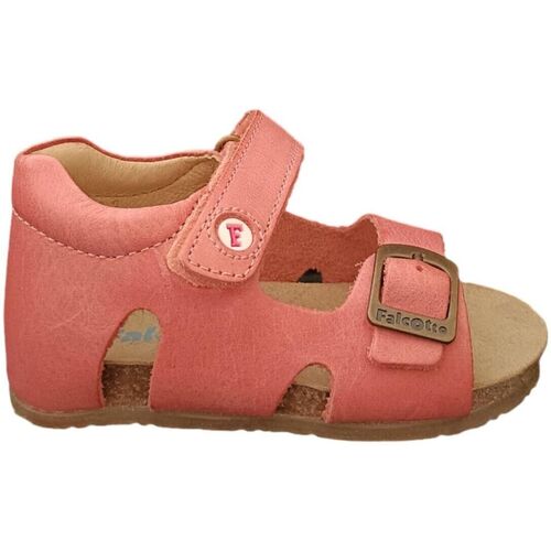 Sapatos Criança Sandálias Falcotto BEA Rosa