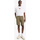 Textil Homem Shorts / Bermudas Levi's 172020004 Verde
