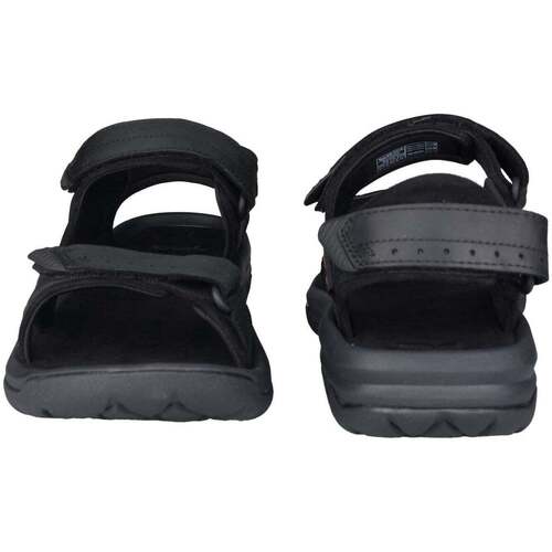 Teva Langdon Preto