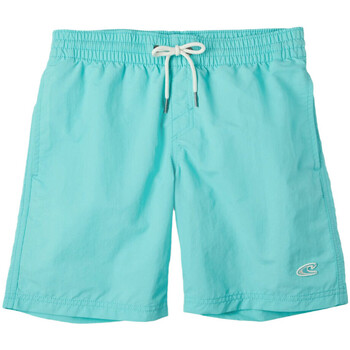 Textil Rapaz Fatos e Ben shorts de banho O'neill  Azul