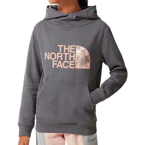 Textil Rapariga Sweats The North Face  Cinza