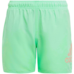 Textil Rapaz Fatos e shorts de banho adidas Originals  Verde