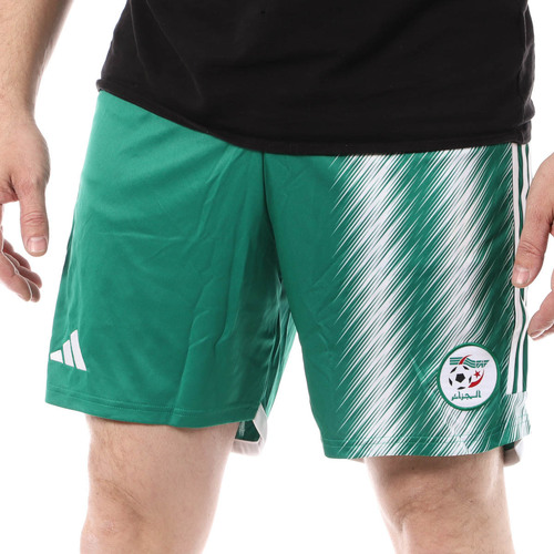 Textil Homem Shorts / Bermudas adidas high Originals  Verde
