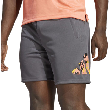 Textil Homem Shorts / Bermudas adidas pointed Originals  Cinza