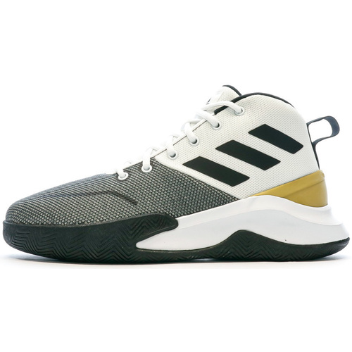 Sapatos Homem Sapatilhas de basquetebol results adidas Originals  Cinza
