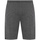 Textil Homem Shorts / Bermudas Everlast  Cinza
