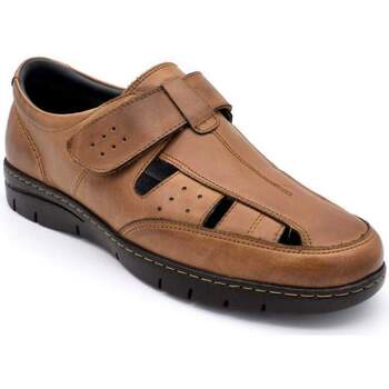 Sapatos Homem Alto: 6 a 8cm Pitillos 4030 Castanho