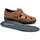 Sapatos Homem Sapatos & Richelieu Pitillos 4030 Castanho