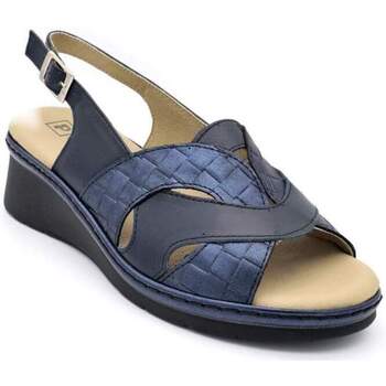 Sapatos Mulher Alpargata 5502 Natural Pitillos 5681 Azul