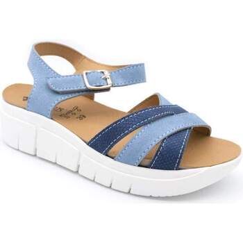 Sapatos Mulher Sapatos & Richelieu Tamicus 1286 Azul