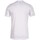 Textil Homem T-Shirt mangas curtas Joma 103685200 Branco