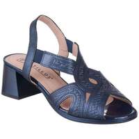 Sapatos Mulher Sapatos & Richelieu Pitillos 5690 Azul