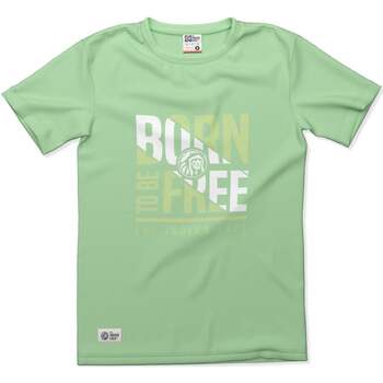 Textil T-Shirt mangas curtas The North Face Born to be Free Verde