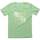 Textil Nike Dri-FIT Legend Γυναικείο T-Shirt The Indian Face Born to be Free Verde
