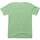Textil T-Shirt mangas curtas The Indian Face Born to be Free Verde